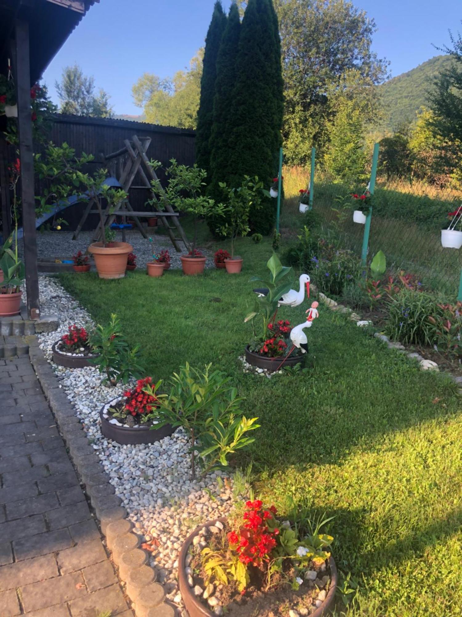 Pensiunea Casa Cu Flori Cisnadioara Dış mekan fotoğraf